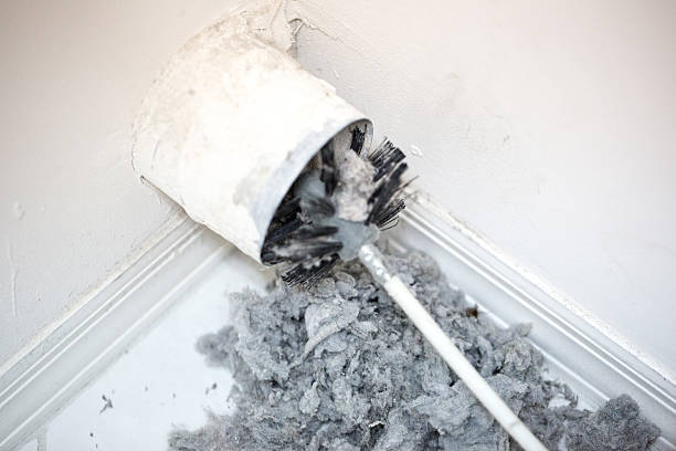 Best Air Duct Mold Removal  in St James, MD